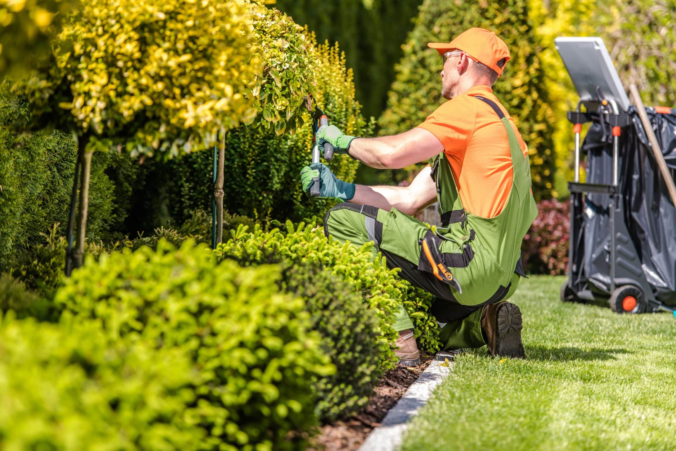 Jardinier N.J.3D taillant une haie dans un jardin à Marrakech